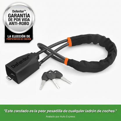 Bloqueo para el volante | Defentor